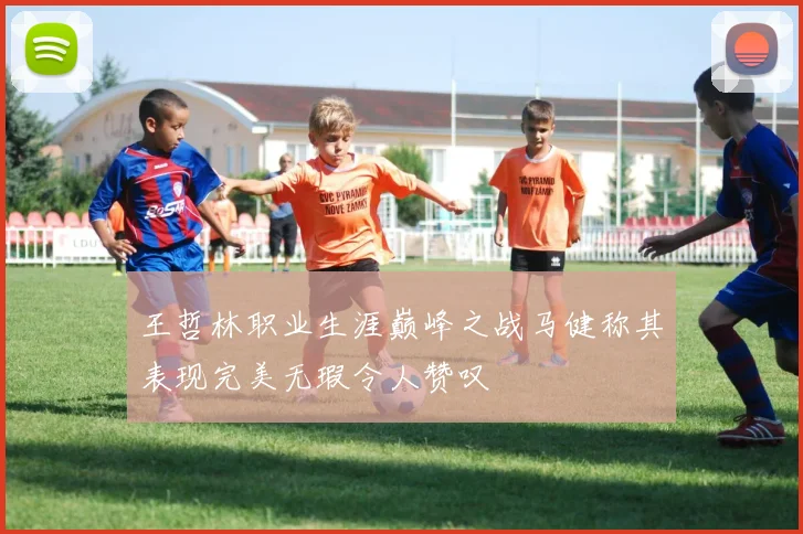 王哲林职业生涯巅峰之战马健称其表现完美无瑕令人赞叹